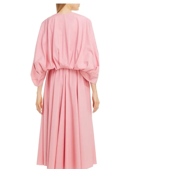 Roksanda gather cape poplin midi dress - Picture 2 of 14